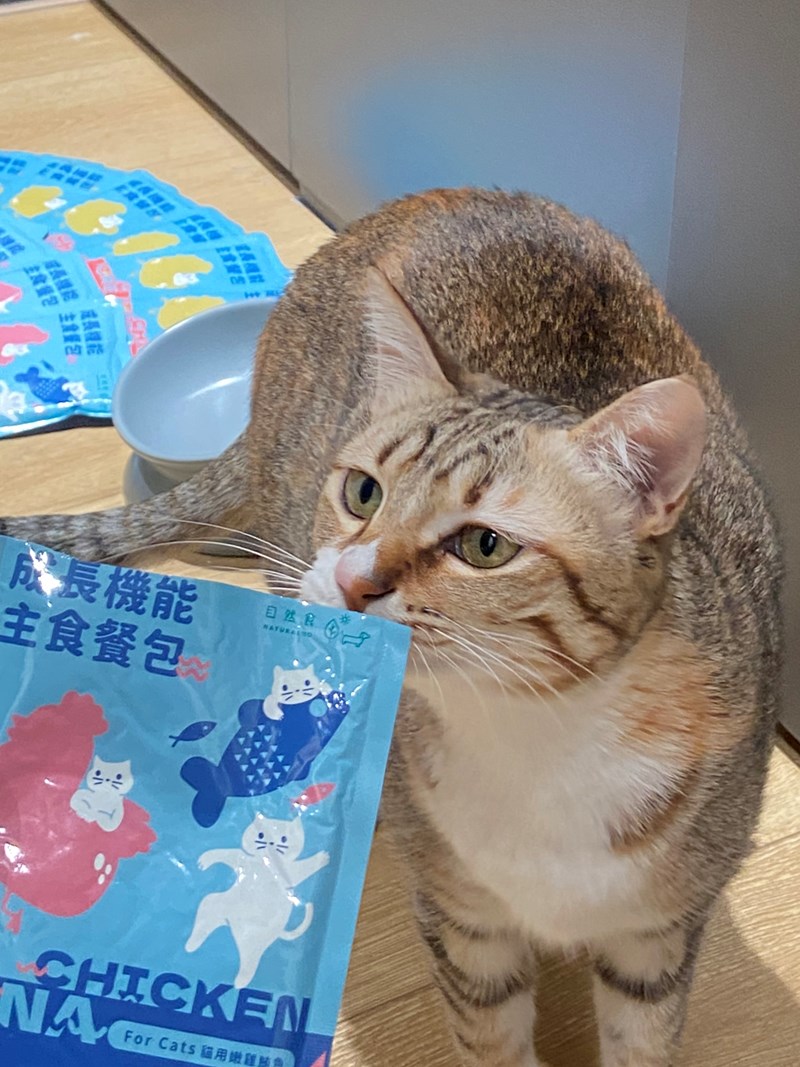 試用
